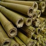 7ft Bamboo Canes 14-16mm "EXTRA THICK" - Pack of 50 (a1507)