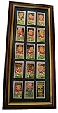 Mounting & Framing Kit for 15 card Cigarette Cards Sets (68mm x 36mm)