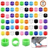 Huayue 200 PCS Pigeon Foot Ring, Bird Foot Rings Parrot Leg Bands Foot Clip Ring Bands for Pigeon Chick Bantam Dove Small Poultry, Mixed Color