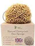 Skin Unique Mediterranean Natural Sea Sponge in Gift Box - Unbleached Honeycomb, Strong, Durable - 100% Organic, Hypoallergenic - Children and Adults - Bath, Exfoliating, Cleansing, Pets (Medium)