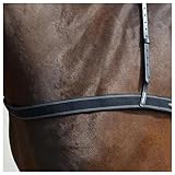 Elastic Breast Girth (breastcollar) Leather with Neck for Horses Full Size (Black)