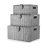 Unibos | Woven Wicker Hamper Basket | Comes with Lid & Lock | Decorative Storage Box | Resin Shelf Storage Baskets | for Organizing Toys, Clothes, Office etc | Insert Handles | Set of 3 | ????