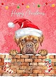 Dogue de Bordeaux Dog Art Christmas Card - Xmas Card for Him Her Male Female Dog Pet