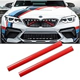 YOUNLEN 2PCS Grille Insert Trims Stripe for BMW, Front Grille Trim Stripes Cover Compatible with F20 F30 F21 F22 F23 F31 F32 F33 F34 F36 F40 F44（Red）