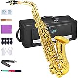 EASTROCK Alto Saxophone for Beginner, E-Flat Gold Lacquer Alto Saxophone, E Key Sax with Hard Case Mouthpiece Pads Neck Strap Reeds Cleaning Cloth Gloves (Gold)