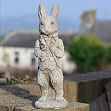 ONEFOLD Peter Rabbit Statue, Stone Ornament for Garden, Outdoor Garden Sculpture, Durable and Weatherproof