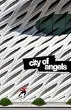 City of Angels: A Benefit for the LA Fires (Downward Skateboard Magazine)