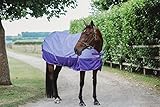 eQuitack Turnout Rug with Regular Neck | 600D Lightweight Horse Rugs and 0gsm No Filling | Nylon Lining Adjustable Leg Straps Cross Over Surcingles Rugs for Horse (Lavender/Purple 6'0")