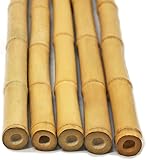 FlickBuyz Bamboo Canes - Plant Supports for Outdoor Plants – All Lengths 2,3,4,5,6,7 & 8ft Garden Canes, Heavy Duty Professional Bamboo Sticks for Plants, Garden Plant Supports (10, 6ft, 14-16mm)