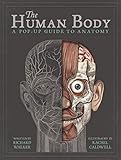 The Human Body: A Pop-Up Guide to Anatomy