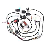 HouYeen CDI Wire Harness Wiring Loom Magneto Coil Electrical Device Handle Switch for 50cc-110cc ATV Quad Pit Bike