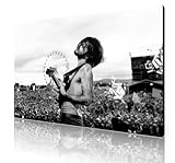 Panther Print LARGE BIFFY CLYRO CANVAS GALLERY STYLE 30x20 INCHES A1