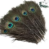 15Pcs Peacock Feathers, Peacock Feathers Long, Real Natural Peacock Eye Feathers, 10-12 Inches Peacock Tail Feather for Carnival Revelry Masquerade Costume Wedding Vase Christmas Party DIY Art & Craft