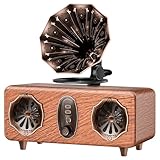 FREEFISH Retro Radio Bluetooth Speaker, Vintage FM Radio, Bluetooth Radio Vintage Decor Gifts for Men, 5W Speakers, Bluetooths 5.3, Support TF Card/AUX/USB, 1800mAh Battery (AS36)