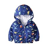 JinBei Jacket Boy Toddler Kids Hooded Jackets Baby Windbreaker Zip Long Sleeve Coat Cloak Thick Outwear Clothes Soft Light and Thin Blue Car Print Age 2-3 Years,100