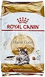 Royal Canin Maine Coon Adult Cat Food 10kg