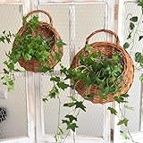 Monsully Hanging Planter Basket with Wicker, Round Hanging Flower Plant Pot Plant Basket, Rattan Wall Basket for Home Decor, Garden, Wedding (Natural, 26 × 20 cm)