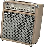 Genz Benz Shenandoah SHEN-JRLT 45-Watt 1 x 10 Inches Acoustic Guitar Amplifier