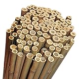 Elixir Gardens Strong Heavy Duty Professional Bamboo Plant Support Garden Canes | All lengths in stock 2, 3, 4, 5, 6, 7 & 8ft | Choose from a range of pack sizes from 10 to 250 | 8ft x 10