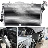 TARAZON Motorcycle Radiator for Honda CBR 1100 XX CBR1100XX Blackbird 1999 2000 2001 2002 2003 2004 2005 2006 2007,OEM 19010MATE01,19010MATE21 Water Cooler Aluminum Radiator