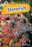 Stonefish (Poisonous Animals)