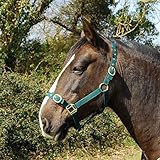 Rhinegold Nylon Headcollar - Full - Green