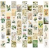 50pcs Vintage Botanical Postcards Floral Posters Cards Wall Art Decoration Post Card Set Retro Greeting Cards Scrapbooking Paper for DIY Craft Hoom Decor (A)