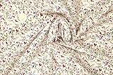 Pyrhan Little Wild Flowers Polycotton Prints –45 Inch Wide Dress Fabric Material by The Metre -Floral Polycotton Print Used in Sewing Kit and Accessories-Quilting Fabric