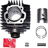 Compatible With Yamaha YB100 YL2100cc AG100 100cc Piston Cylinder Rings Kit