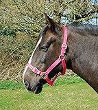 Rhinegold Nylon Headcollar - Cob - Raspberry