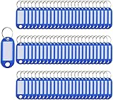 Key Tags with Split Ring, 100 Pack, of one Colour, Plastic ID Labels, 5 cm x 2.2 cm (100 Blue)