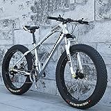 JAMCHE 20/24/26 * 4.0 Inch Thick Wheel Mountain Bikes, Adult Fat Tire Mountain Trail Bike, 7/21/24/27/30 Speed Bicycle, High-carbon Steel Frame, Dual Suspension Dual Disc Brake Bicycle