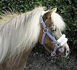 Rhinegold Bright Striped Fur Trim Small Pony Headcollar,Mini Shetland,Turquoise Stripe