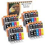 D&C Compatible Ink Cartridge Replacement for Canon PGI-520 CLI-521 for Canon Pixma iP3600 iP4600 iP4700 MP540 MP550 MP560 MP620 MP630 MP640 MP980 MP990 MX860 MX870 (20-Pack)