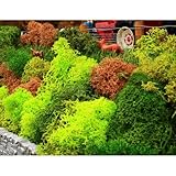 Brushwood Bushy Lichens