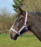 Rhinegold Nylon Headcollar - Pony - Lilac