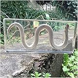 FHUILI Snake Specimen Animal Paperweight Taxidermy - Real Snake Embedded Specimen - Water Snake Specimen Desk Paperweight - for Science Teaching