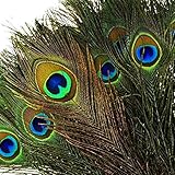 VoilaLove 100pcs Natural Peacock Feathers with Eye Peacock Tail Feathers 10-12inch (25-30cm) for Wedding Party Arts And Crafts Home Decorations