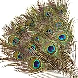 12PCS Real Natural Peacock Eye Feathers10-12 inch(25-30 cm) for DIY Craft, Wedding Holiday Christmas Decoration