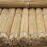 FlickBuyz Gardens Strong Thick Heavy Duty Professional Bamboo Plant Support Garden Canes (20, 8FT, 12-14MM)