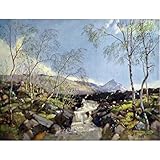 Highland Spring, Vernon Ward - Medici Print