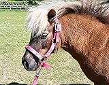Rhinegold Unicorn Headcollar and Rope Set - Pony - Raspberry