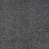 247Floors Stain Resistant Twist Carpet 8mm Thick Felt Backed Hard Wearing Pile Living Room Hall (Dark Grey - 5m x 4m)
