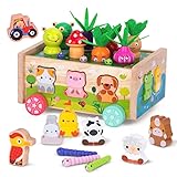 KMTJT Montessori Wooden Toddler Toys for 1 2 3 Years Old Boys Girls, Shape Sorting Toys First Birthday Gifts for 1-2 Years, Wood Animal Farm Car Preschool Educational Fine Motor Skills Toy