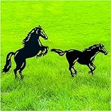 Horse Metal Decorative Garden Stakes Horse Gifts for Women/Girls/Mom/Men/Horse Lovers Silhouette Statues for Yard Art, Outside, Patio, Outdoor Decor, Garden Decorations, Lawn Ornaments, Set of 2