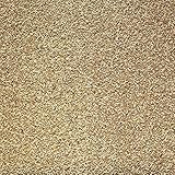 Johnston & Jeff 10kg Foreign Finch bird seed food sold by Trusty Pet Supplies