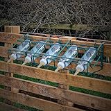 Lamb Bottle Holder Feeding Rack with 5 x 450ml Non-Vac Bottles &Teats, Multi-Lamb Feeder Easily Feed up to 5 Lambs, Mounts to Fences, Hurdles and Walls (Complete Bottle Holder & 5 Bottles)