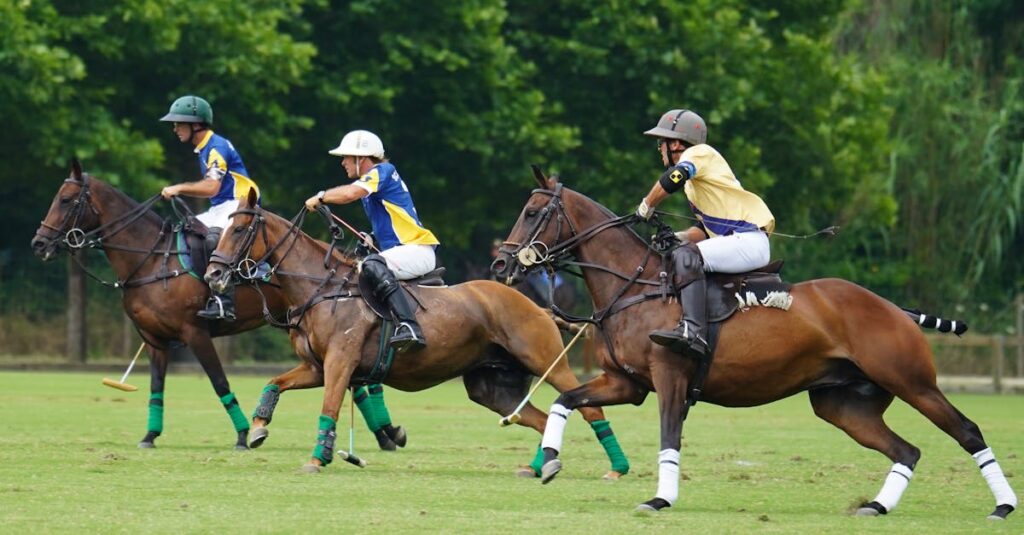 discover our collection of premium polo shirts, perfect for a stylish and comfortable look. shop high-quality fabrics, classic and modern designs suitable for any occasion.