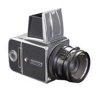 hasselblad 500c for sale