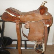 balance saddle for sale